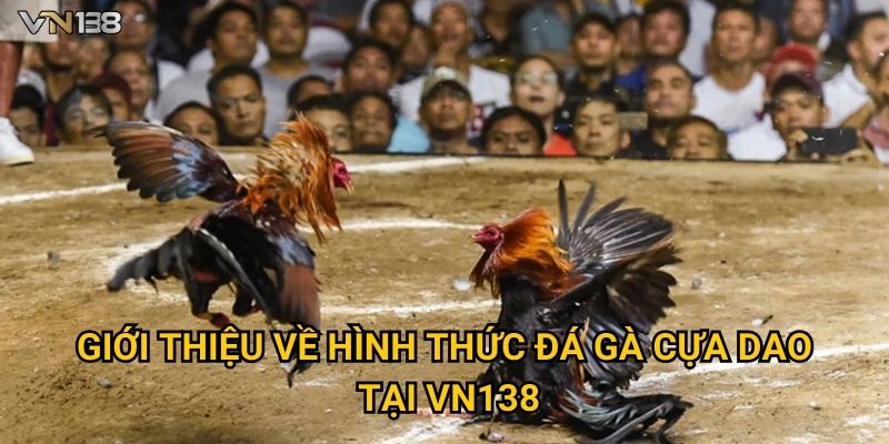 Đá Gà Cựa Dao Vn138 – Đỉnh Cao Kịch Tính Và Mãn Nhãn 2 Giới thiệu về hình thức đá gà cựa dao tại Vn138